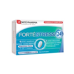 [FORTE023] FORTE STRESS 24h 15